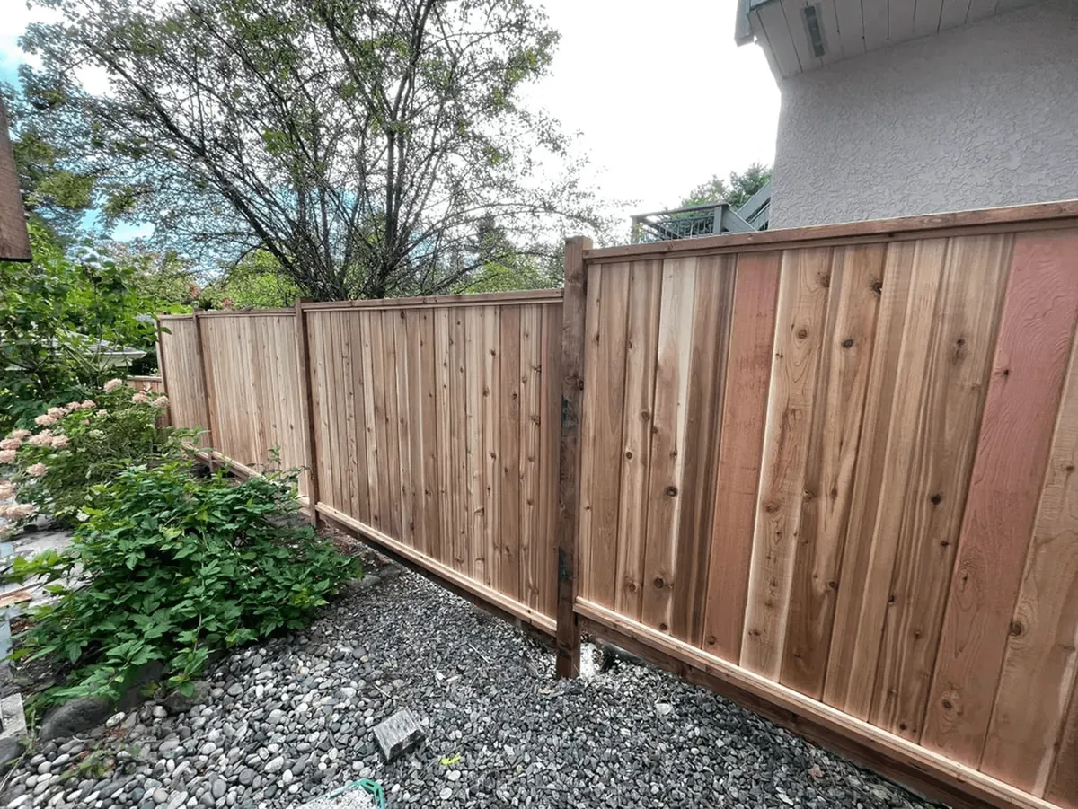 Cedar fence project